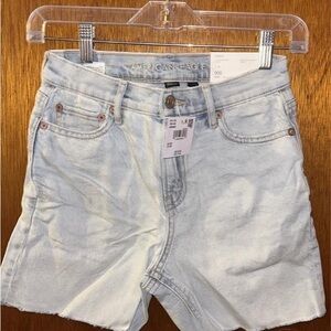 American Eagle Outfitters Women's Light Blue Denim Shorts